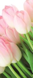 Consalnet Tulipánok öntapadós poszter, fotótapéta (91 x 211 cm) (C1-8-018SKT)