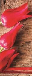 Consalnet Tulipánok poszter, fotótapéta (91 x 211 cm) (C1-272VET)
