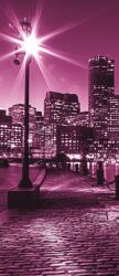 Consalnet Boston éjszaka poszter, fotótapéta (91 x 211 cm) (C1-284VET)