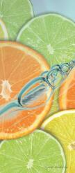 Consalnet Citrus poszter, fotótapéta (91 x 211 cm) (C1-110VET)
