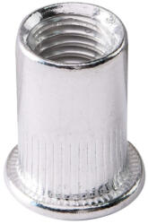 Topmaster Professional Nituri tip piulita 10mm 20buc TMP (511159) Cleste