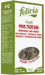Felicia Bio ECO/BIO Fusilli multicereale din hrisca si quinoa 250g