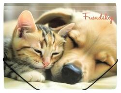 Panta Plast Gumis mappa, 15 mm, PP, A4, PANTA PLAST "Friendship