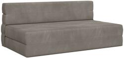vidaXL Canapea Plianta cu Pat Gri deschis 203 x 152 x 15 cm Catifea GartenMobel Dekor (900126) Canapea
