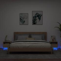 vidaXL Noptiere cu lumini LED, 2 buc. , stejar sonoma, 40x39x37 cm GartenMobel Dekor (836803)