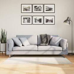 vidaXL Covor "IZA" aspect scandinav, cu fire scurte, crem, 80x150 cm GartenMobel Dekor (375438) Covor