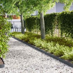 vidaXL Margine pentru gazon 30 pcs Antracit 100 x 0.05 x 20 cm GartenMobel Dekor (865928)