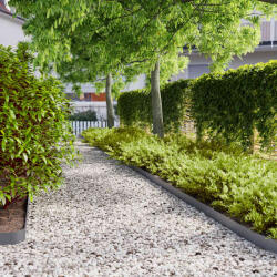 vidaXL Borduri de gazon 10 buc Antracit 10x103 cm Otel laminat la rece GartenMobel Dekor (860132)
