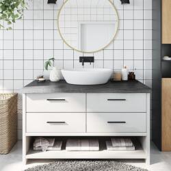 vidaXL Blat de baie, gri închis, 100x60x(2-6) cm, lemn masiv tratat GartenMobel Dekor (3156232)