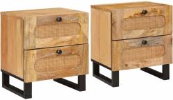 vidaXL Set 2 noptiere din lemn masiv de mango, 2 sertare, 40 x 33 x 46 cm (4018043)