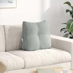 vidaXL Perna pentru spate Gri deschis 45 x 24 x 50 cm Catifea GartenMobel Dekor (42014371)