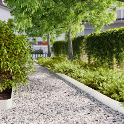 vidaXL Borduri de gazon 10 buc Alb 15x103 cm Otel laminat la rece GartenMobel Dekor (860143)