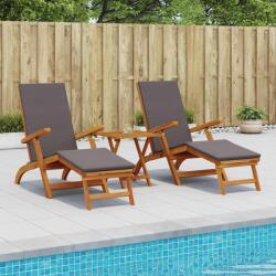 vidaXL Sezlong pliabil si culisant 3 pcs Gri închis GartenMobel Dekor (3415409)