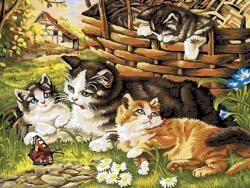 NORIMPEX - Puzzle Tablou Diamant: Familie de pisici 30x40cm - 1 - 39 piese