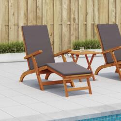vidaXL Sezlong pliabil si culisant 2 pcs Gri închis GartenMobel Dekor (3415403)