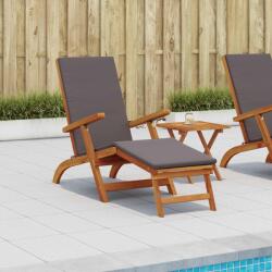 vidaXL Sezlong pliabil si culisant 55 x 146 x 91 cm GartenMobel Dekor (42025002)