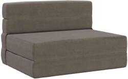 vidaXL Canapea Plianta cu Pat Gri deschis 190 x 100 x 15 cm GartenMobel Dekor (900114) Canapea