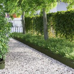 vidaXL Borduri pentru gazon 30 pcs Verde masliniu 103 x 0, 05 x 22 cm GartenMobel Dekor (874818)