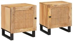 vidaXL Set 2 noptiere din lemn masiv de mango, natur, 40x33x46 cm (4018041)