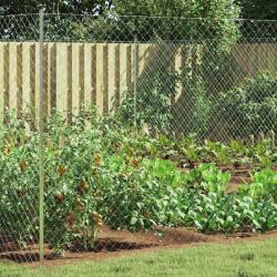vidaXL Gard cu plasa de sarma Galvanizat 2 x 10 m Sticla GartenMobel Dekor (42033072)