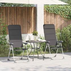 vidaXL Scaun de camping, 2 buc, gri, 58 x 69 x 111 cm, aluminiu GartenMobel Dekor (44312)