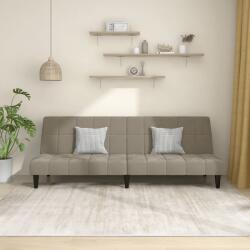 vidaXL Canapea extensibila cu 2 locuri, gri deschis, catifea GartenMobel Dekor (375841) Canapea