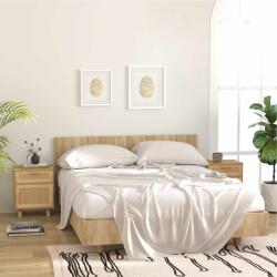 vidaXL Noptiere, 2 buc. , maro, lemn masiv de pin si ratan natural GartenMobel Dekor (345611)
