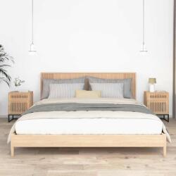vidaXL Dulapuri noptiera, 2 buc. , 40x30x55, 5 cm, lemn prelucrat & fier GartenMobel Dekor (352096)