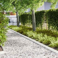 vidaXL Margine pentru gazon 10 pcs Alb 100 x 0.05 x 20 cm GartenMobel Dekor (865922)