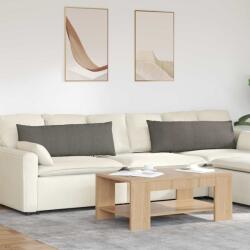 vidaXL Perne pentru canapea 2 pcs Gri deschis 120 x 40 cm GartenMobel Dekor (42013817)
