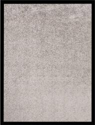 vidaXL Covoras intrare, gri, 40x60 cm GartenMobel Dekor (331589) Pres
