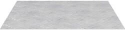vidaXL Trepte Patrat 2 pcs Argintiu 40 x 40 cm Aluminiu GartenMobel Dekor (4104315) Covor
