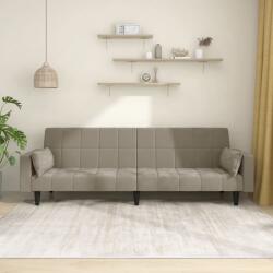 vidaXL Canapea extensibila cu 2 locuri, 2 perne, gri deschis, catifea GartenMobel Dekor (375847) Canapea
