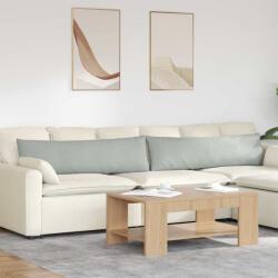 vidaXL Perne pentru canapea 2 pcs Gri deschis 145 x 40 cm GartenMobel Dekor (42013842)