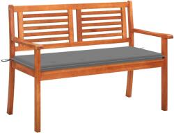 vidaXL Banca gradina 2 locuri cu perna, 120 cm, lemn masiv eucalipt GartenMobel Dekor (3060970)