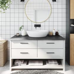vidaXL Blat de baie, gri închis, 100x60x(2-4) cm, lemn masiv tratat GartenMobel Dekor (3156231)