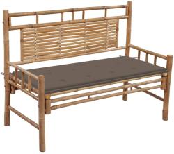 vidaXL Banca de gradina cu perna, 120 cm, bambus GartenMobel Dekor (3063884)