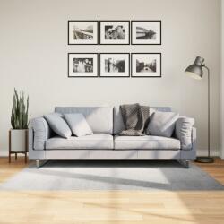 vidaXL Covor "IZA" aspect scandinav, cu fire scurte, gri, 120x170 cm GartenMobel Dekor (375452) Covor