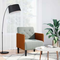vidaXL Canapea scaun cu cotiere, gri deschis, 55 cm, catifea GartenMobel Dekor (4100595)