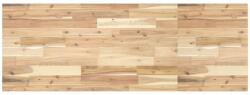 vidaXL Blat de baie netratat, 140x50x2 cm, lemn masiv de acacia GartenMobel Dekor (3279665)