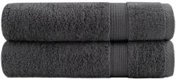 vidaXL Prosoape maini SOLUND 2 buc. antracit 50x100 cm 600 gsm GartenMobel Dekor (137156) Prosop