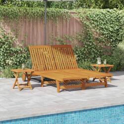 vidaXL Sezlong Maro Lemn Solid de Acacia GartenMobel Dekor (3407698)