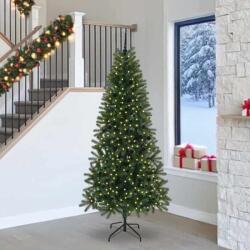 vidaXL Brad de Craciun artificial cu 300 LED Verde 240 cm PE si PVC GartenMobel Dekor (3397381)