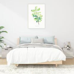 vidaXL Noptiere, 2 buc. , sonoma gri, 40x39x40 cm GartenMobel Dekor (817030)