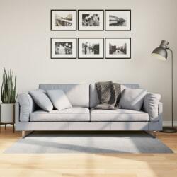 vidaXL Covor "IZA" aspect scandinav, cu fire scurte, gri, 80x150 cm GartenMobel Dekor (375450) Covor
