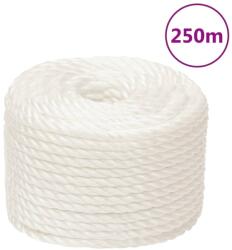 vidaXL Franghie de lucru, Alb, 10 mm, 250 m, polipropilena GartenMobel Dekor (153053)