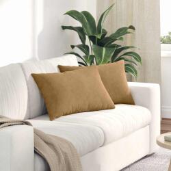 vidaXL Perne pentru canapea 2 pcs Maro 60 x 40 cm GartenMobel Dekor (42013678)