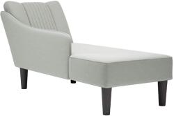 vidaXL Sezlong cu cotiera dreapta catifea gri deschis GartenMobel Dekor (4009792)