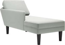 vidaXL Sezlong cu perna si cotiera dreapta, gri deschis, catifea GartenMobel Dekor (4009807)