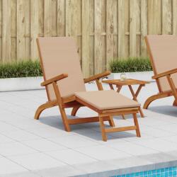 vidaXL Sezlong pliabil si culisant 55 x 146 x 91 cm GartenMobel Dekor (42025004)